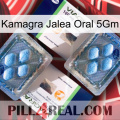 Kamagra Oral Jelly 5Gm viagra5